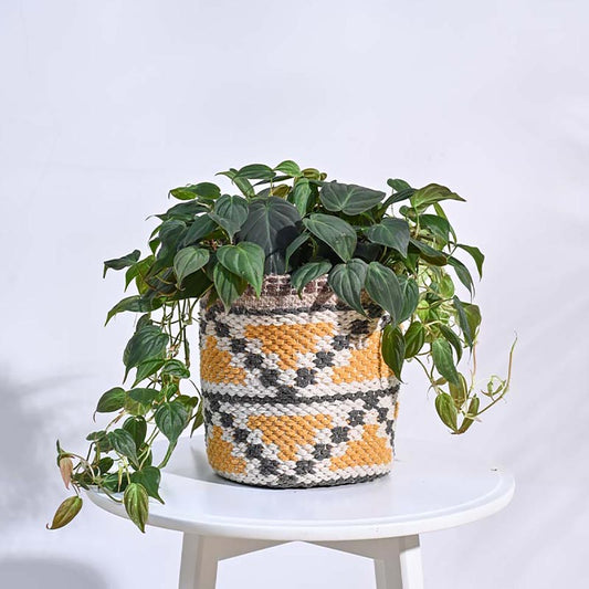 Pahaadi Cotton Multicolor Basket Planter Default Title