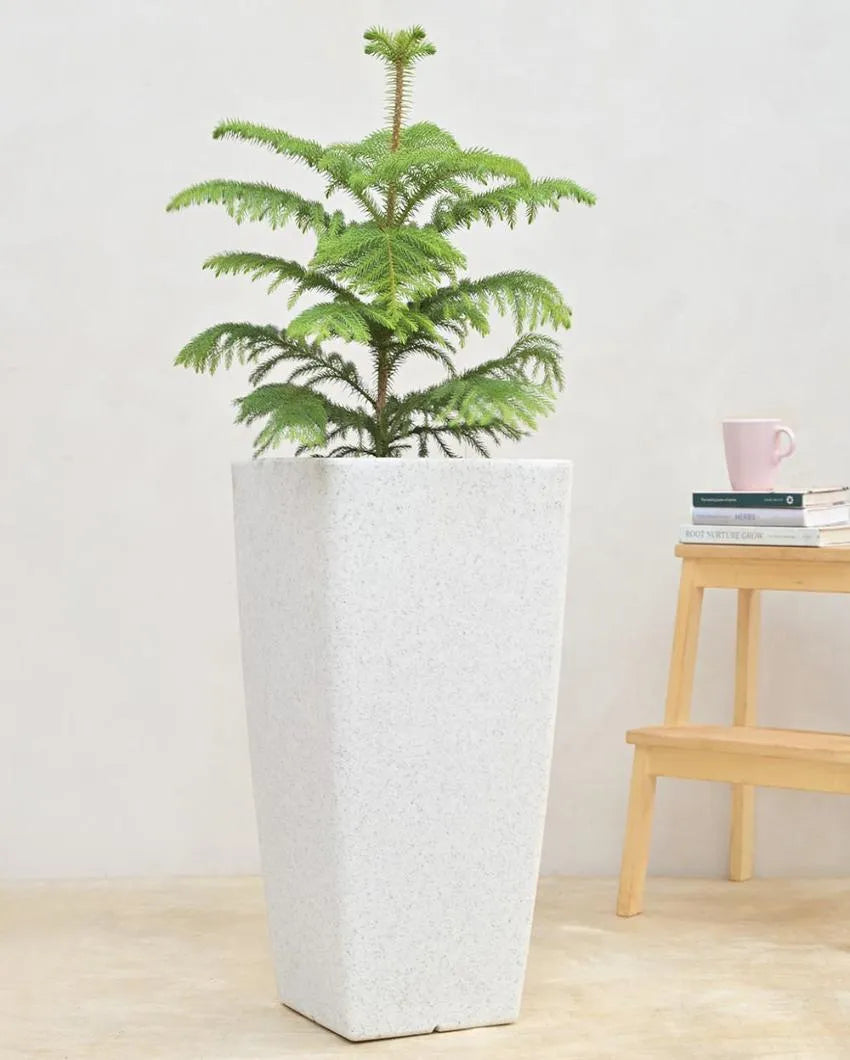 Paris Small Plastic Planter | 24 inch White