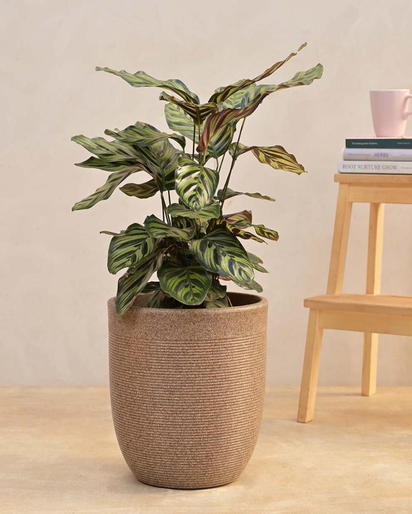 Milano Short Small Plastic Planter | 12 inch Brown