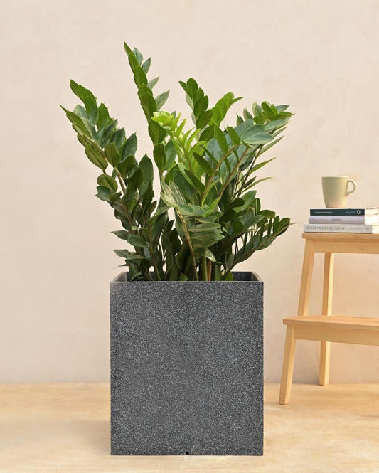Modern Grey Cubic Plastic Planter 16x16 inch