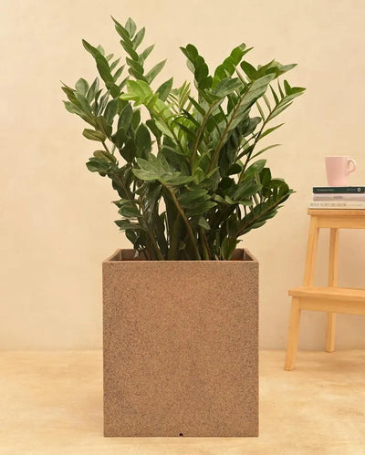 Stylish Brown Cubic Plastic Planter 16x16 inch