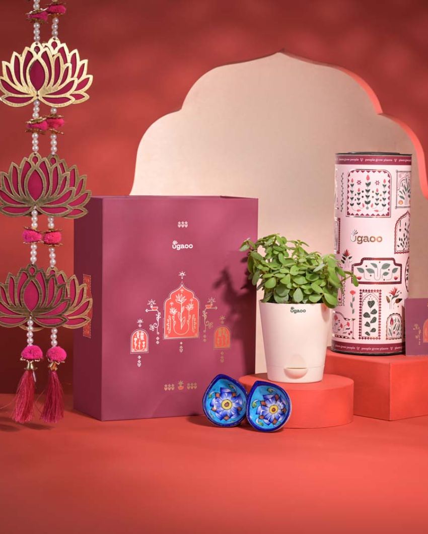 Prosperity Diwali Gift Hamper