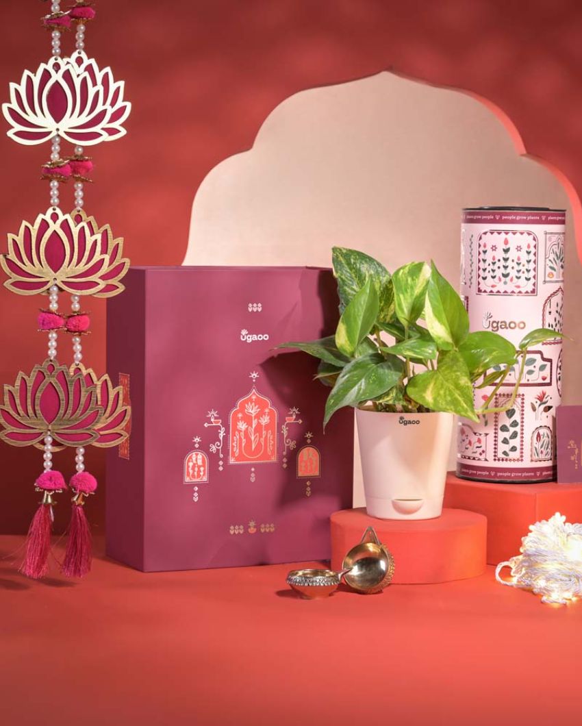 Good Vibes Diwali Gift Hamper