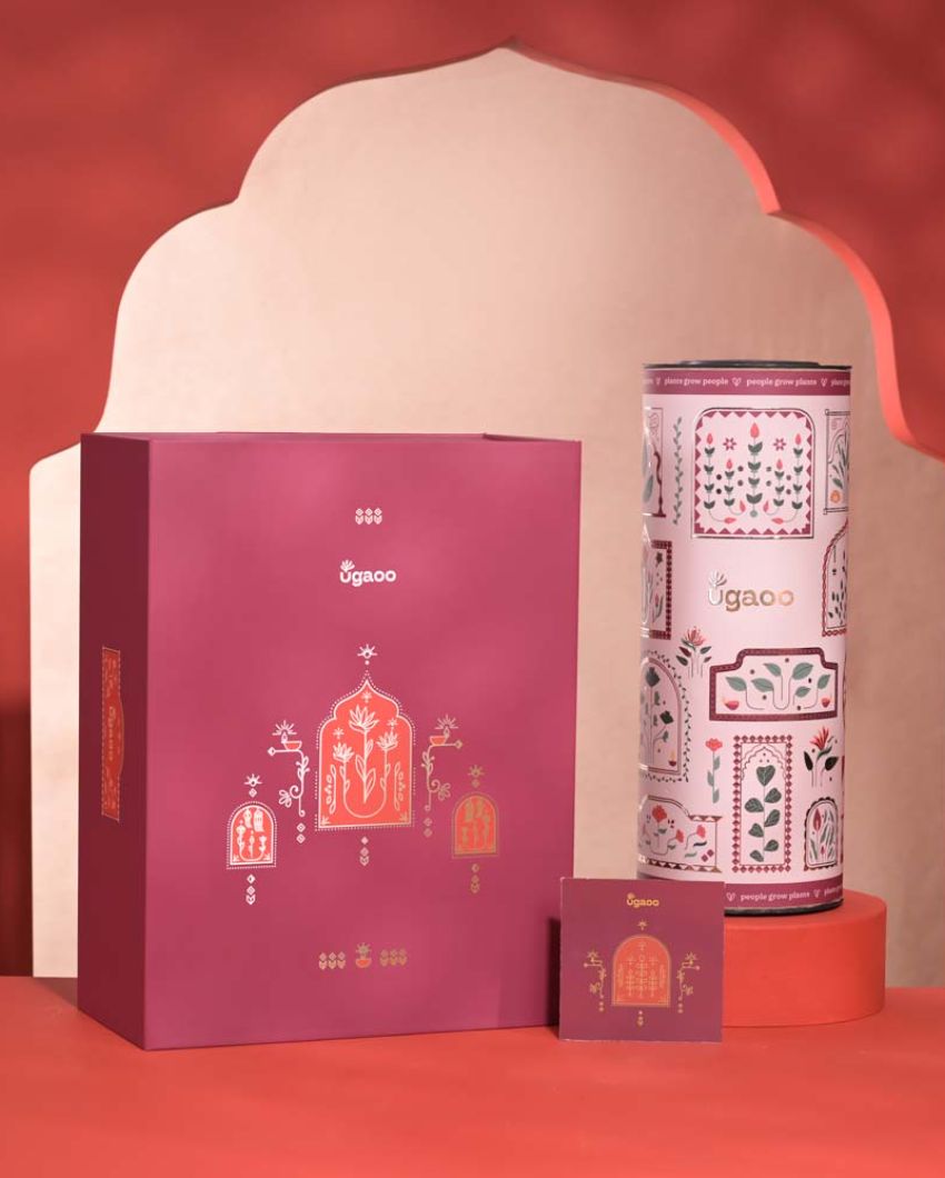 Good Vibes Diwali Gift Hamper