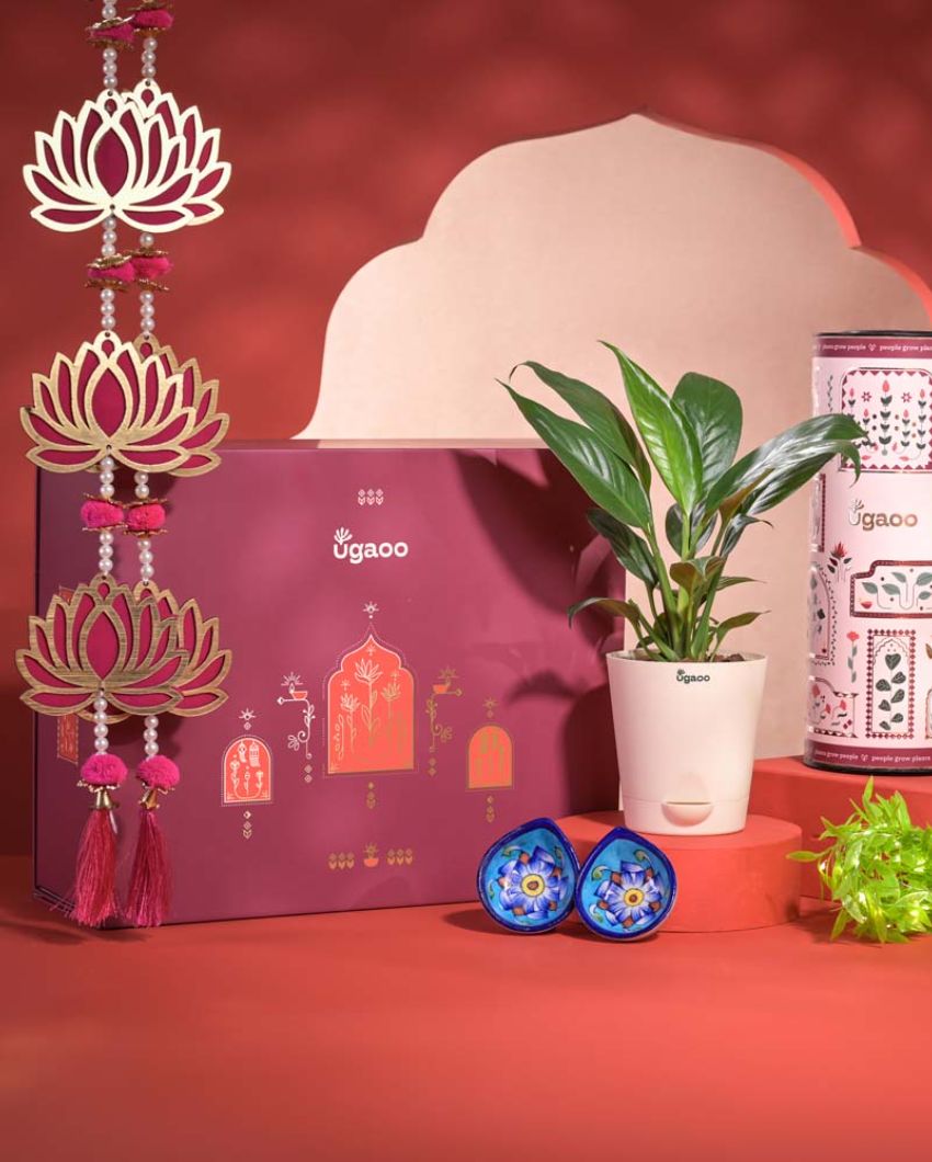 Peace of Mind Diwali Gift Hamper