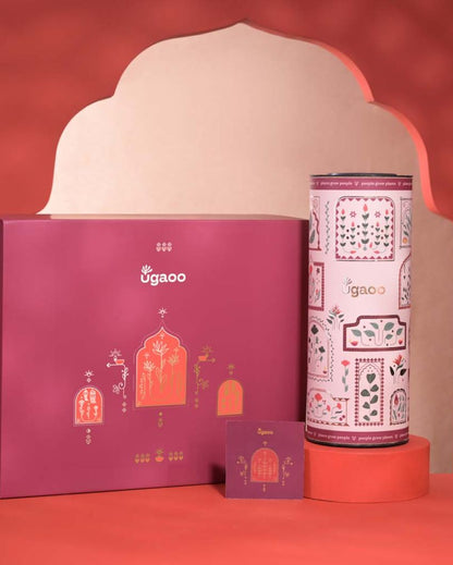 All The Love Diwali Gift Hamper