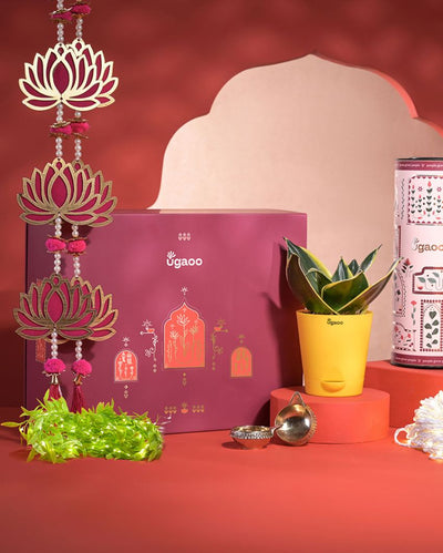 Breath of Air Diwali Gift Hamper