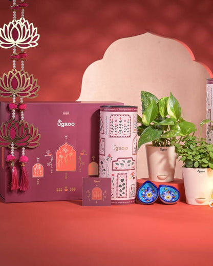 Success & Wealth Diwali Gift Hamper