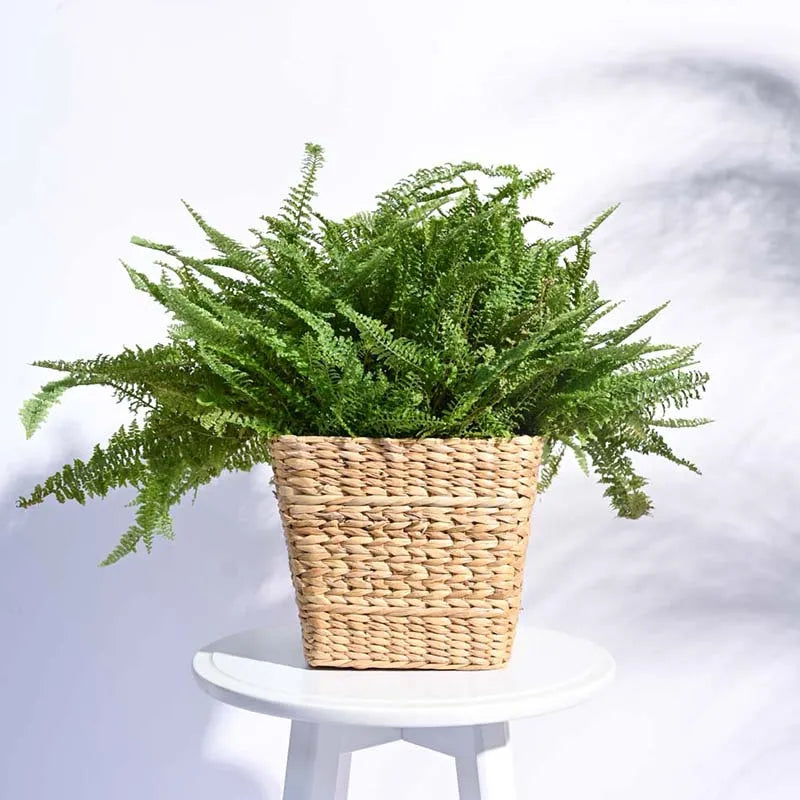 Seagrass Planter for Garden 7 Inches