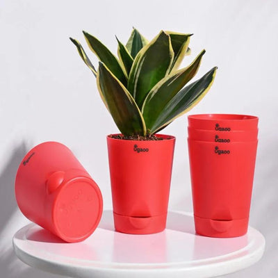 Krish Self-Watering Plastic Pots | Set of 5 | 4 inch Red