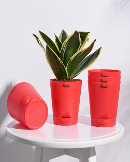 Krish Self-Watering Plastic Pots | Set of 5 | 4 inch Red