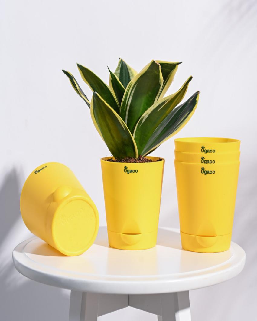 Krish Self-Watering Plastic Pots | Set of 5 | 4 inch Yellow