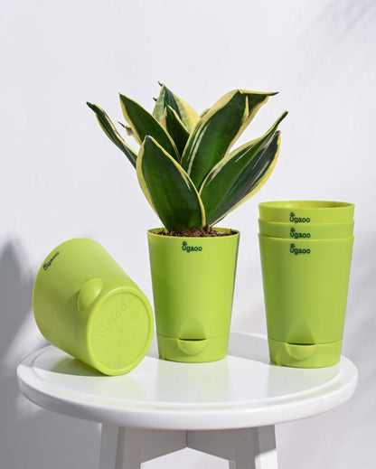 Krish Self-Watering Plastic Pots | Set of 5 | 4 inch Green