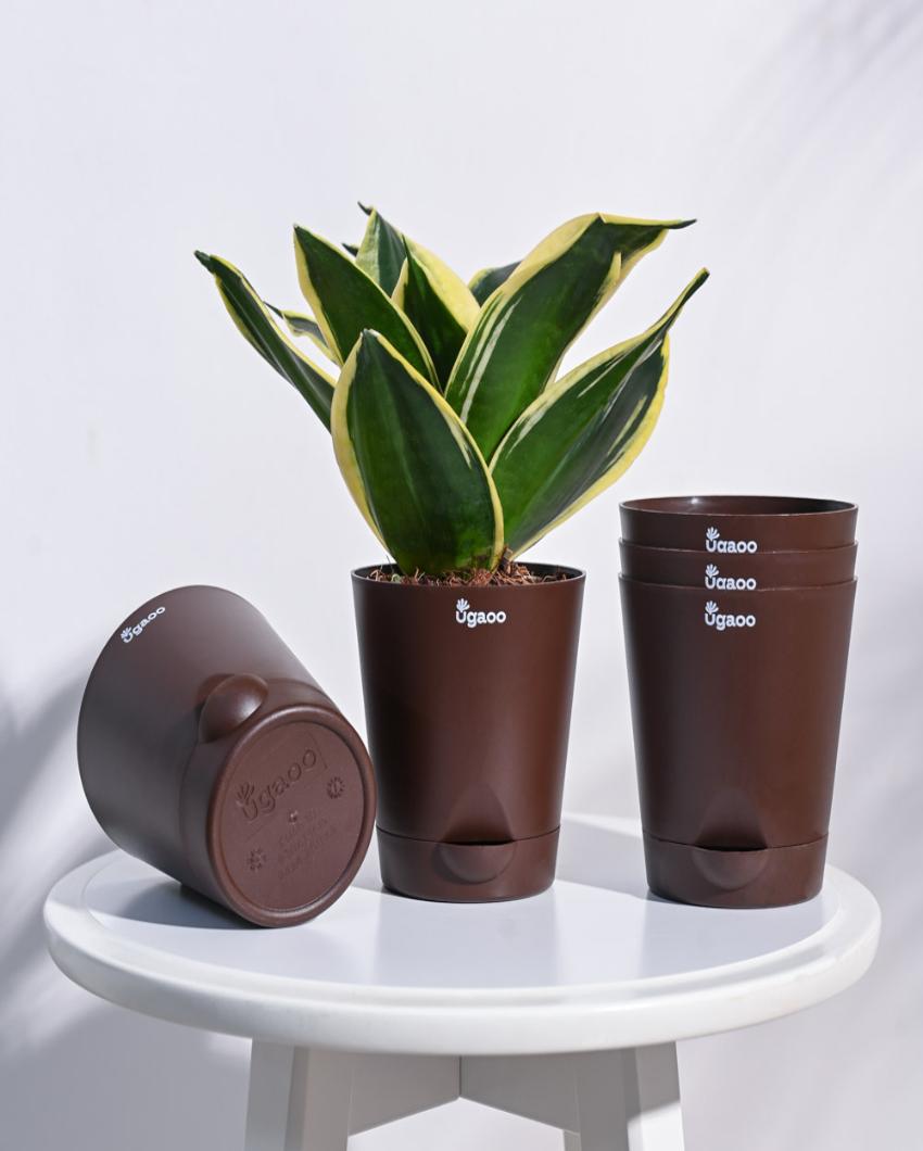 Krish Self-Watering Plastic Pots | Set of 5 | 4 inch Brown