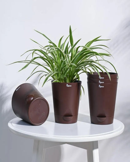 Posh Self-Watering Plastic Pots | Set of 5 | 6 inch Brown