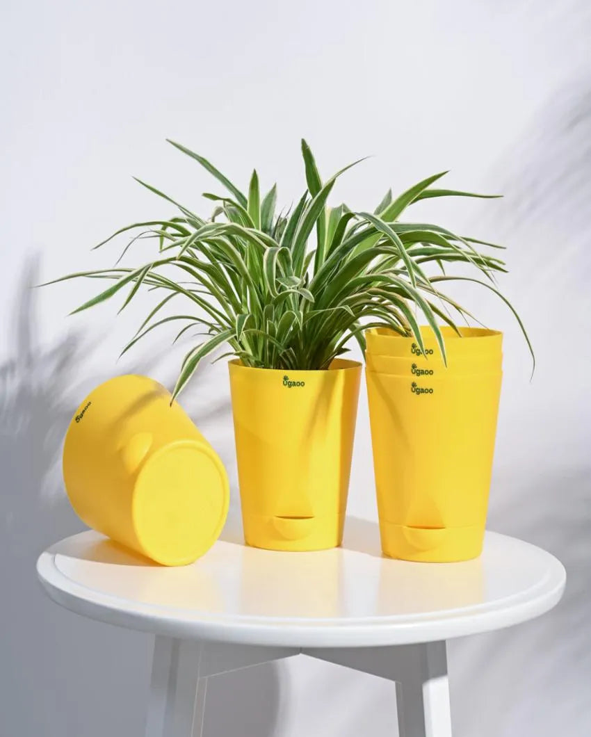 Posh Self-Watering Plastic Pots | Set of 5 | 6 inch Yellow