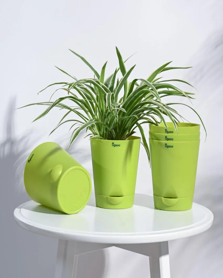 Posh Self-Watering Plastic Pots | Set of 5 | 6 inch Green