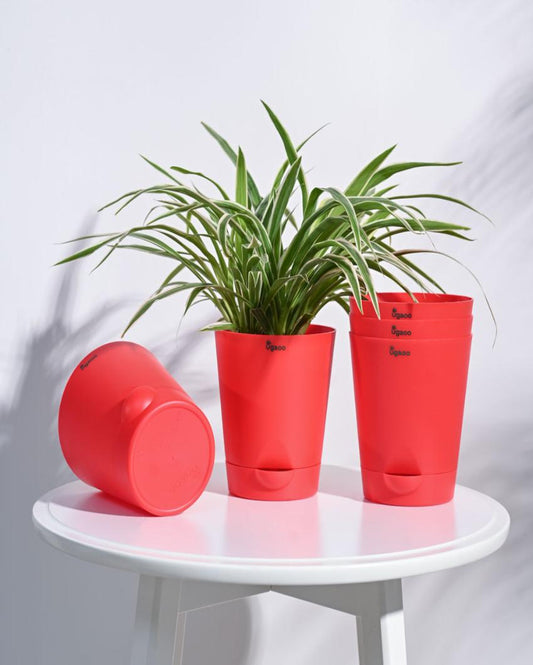 Posh Self-Watering Plastic Pots | Set of 5 | 6 inch Red