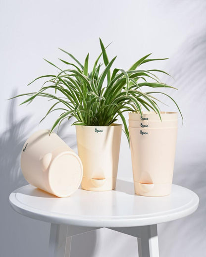 Posh Self-Watering Plastic Pots | Set of 5 | 6 inch Beige