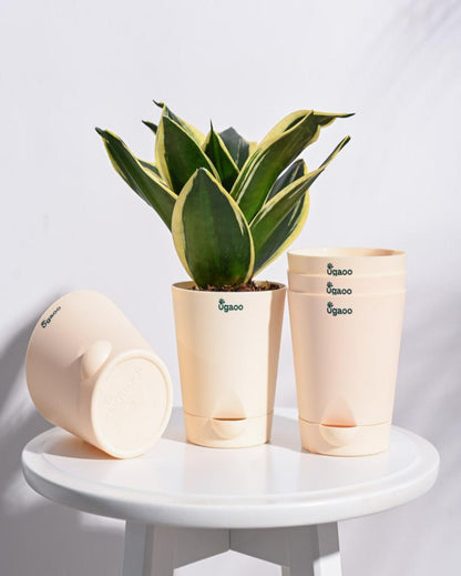 Krish Self-Watering Plastic Pots | Set of 5 | 4 inch Beige