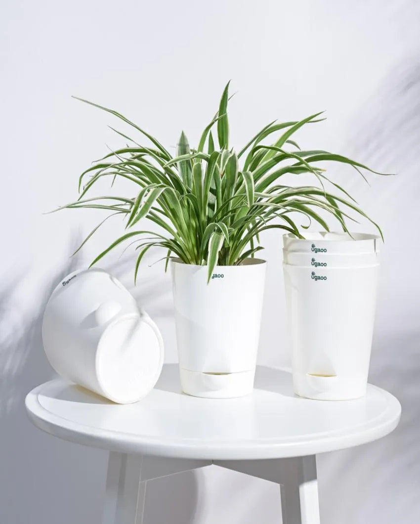 Posh Self-Watering Plastic Pots | Set of 5 | 6 inch White