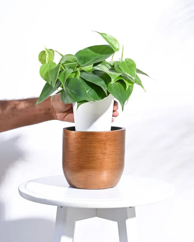 Ball Retro Planter | Gold | Plant Not Included