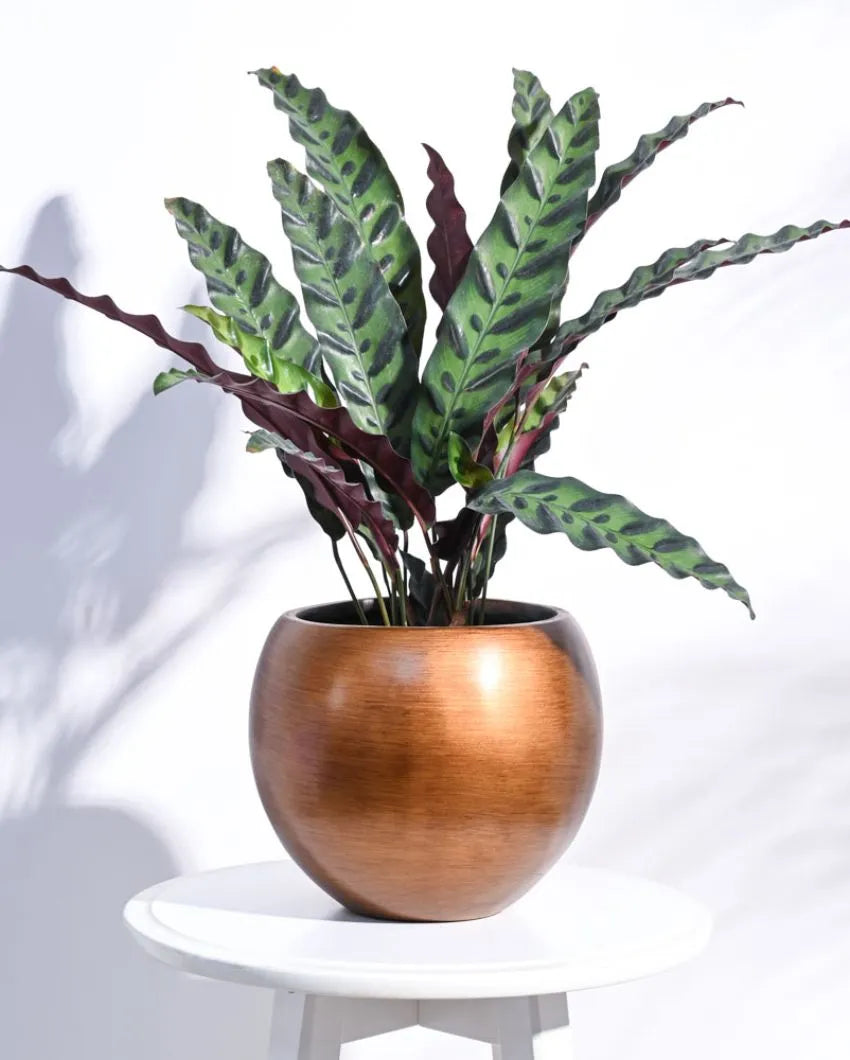 Vase Ball Retro Gold Planter | Multiple Sizes