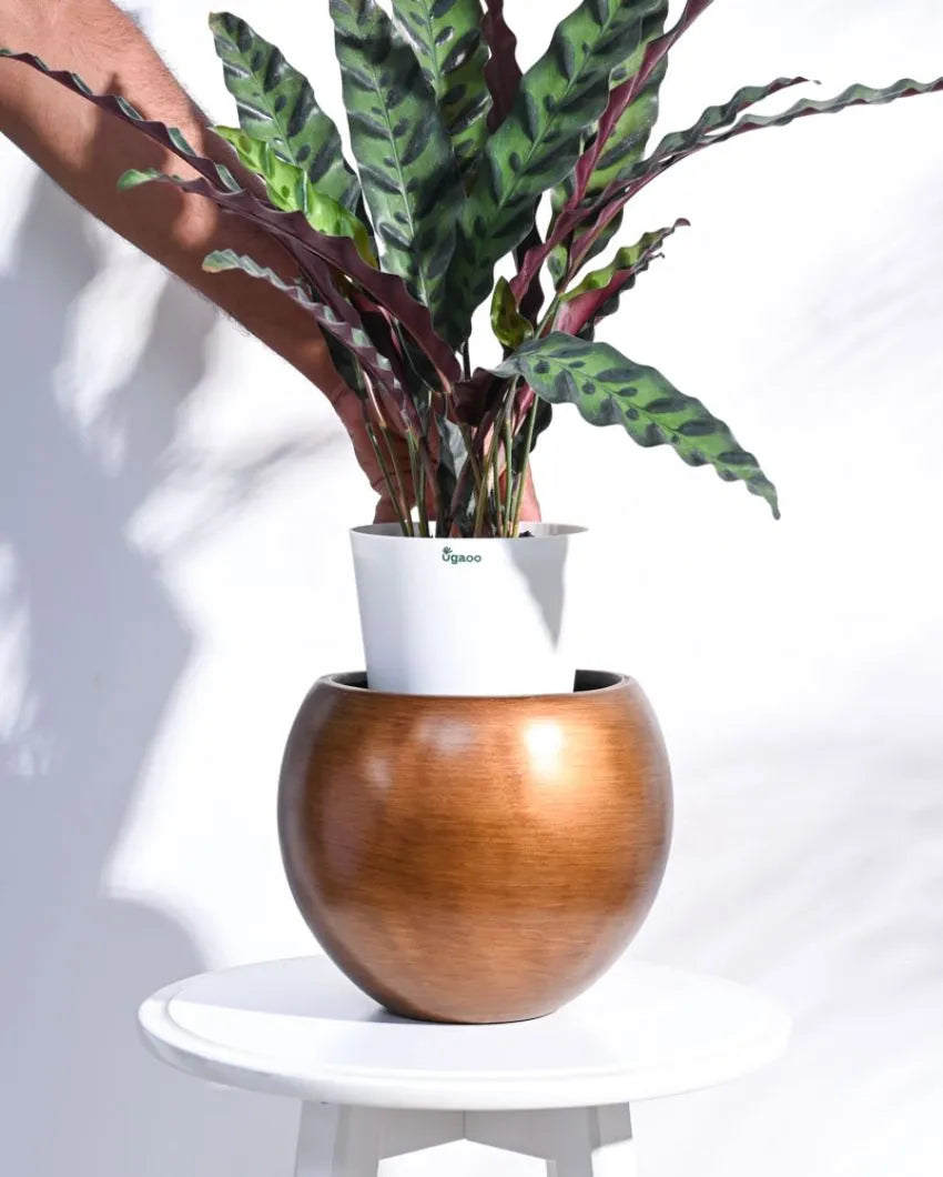 Vase Ball Retro Gold Planter | Multiple Sizes