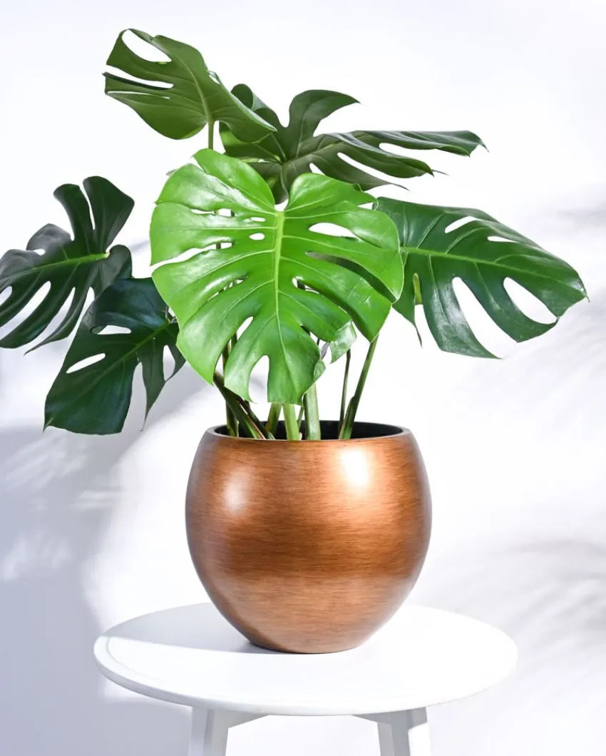 Vase Ball Retro Gold Planter | Multiple Sizes