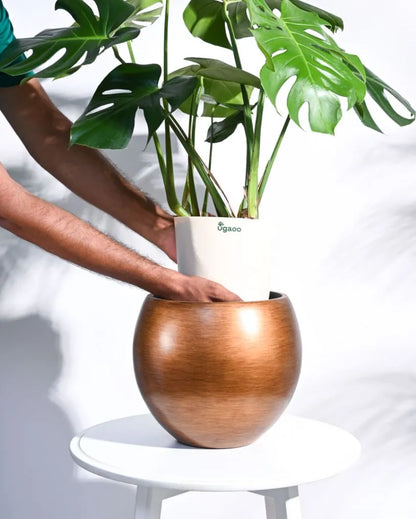 Vase Ball Retro Gold Planter | Multiple Sizes