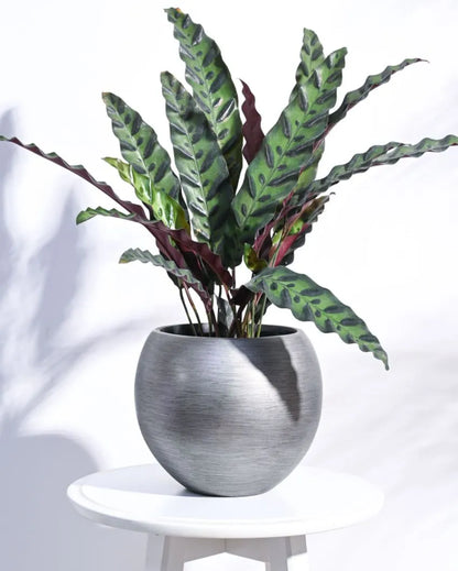 Vase Ball Retro Silver Planter | Multiple Sizes