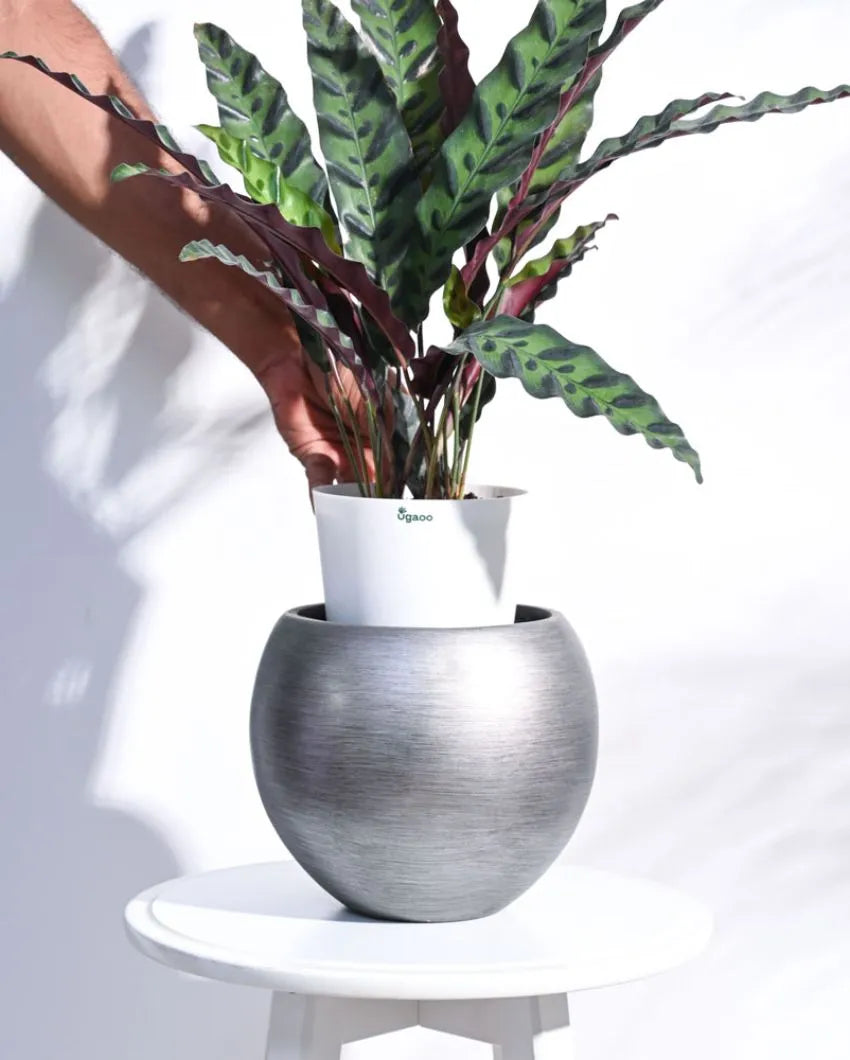 Vase Ball Retro Silver Planter | Multiple Sizes