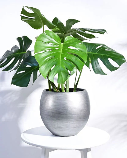 Vase Ball Retro Silver Planter | Multiple Sizes