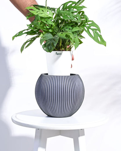 Black Vase Ball Groove Planter | Multiple Sizes