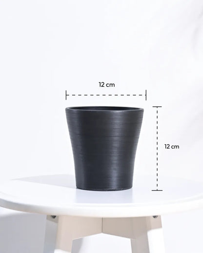 Tivoli Planter for Home & Balcony Garden | Multiple Options