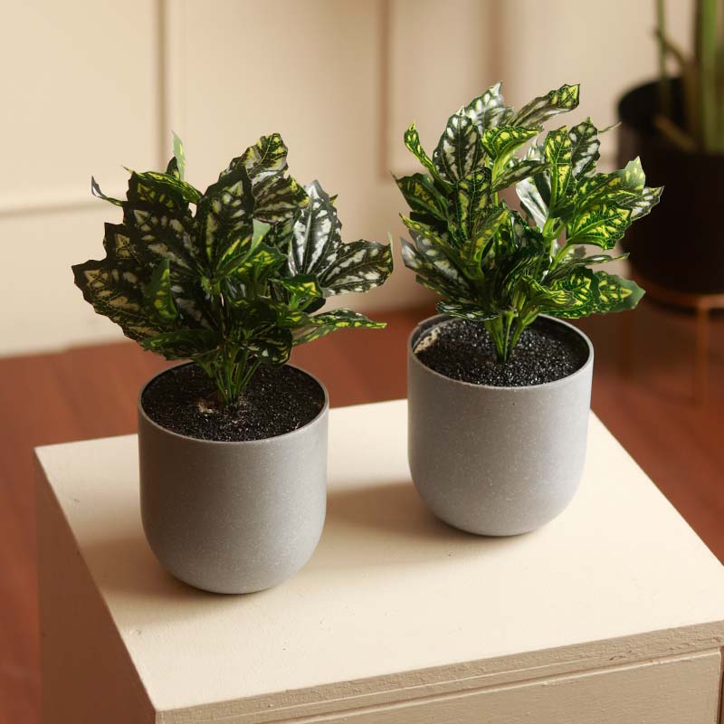 The Rex | Set of 3 Small Artificial Begonia in Grey Pots