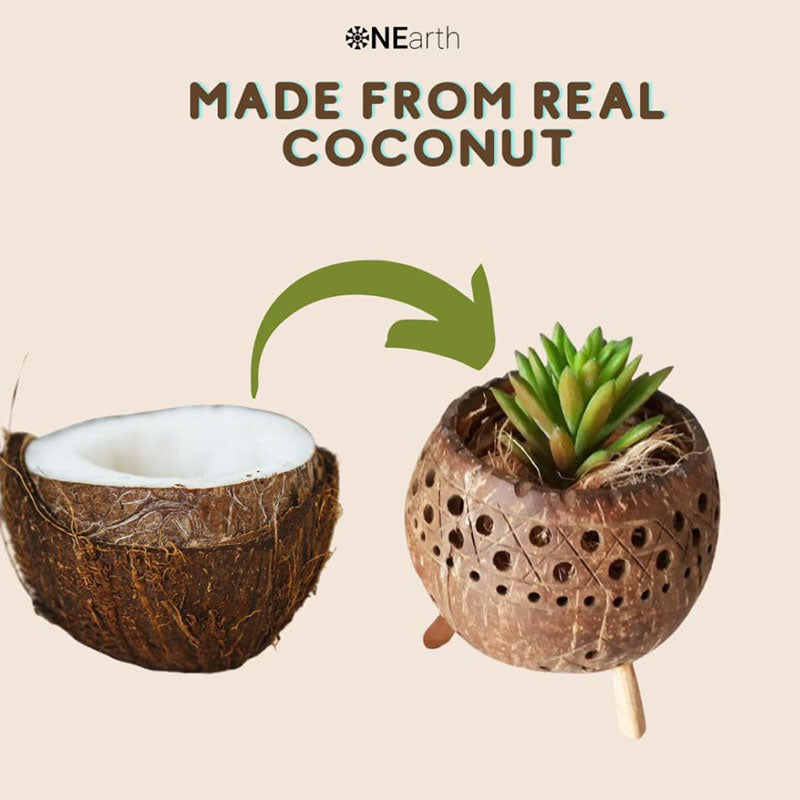 Planter & Tea Light Candle Holder | Coconut Shell Default Title