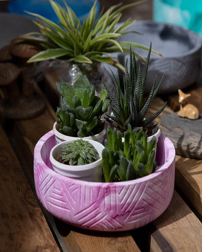 Geometric Clean Lines Oblik Concrete Planter | 7 x 7 x 2 inches