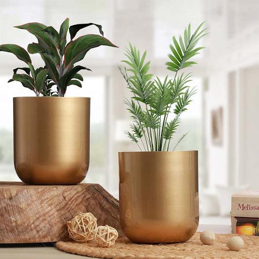 Golden Chic Cylindrical Metal Mini Planter | Set of 2 Default Title