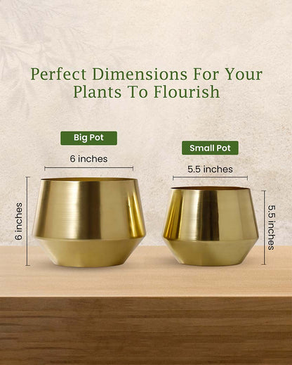 Oak Metal Planter | Plant not included