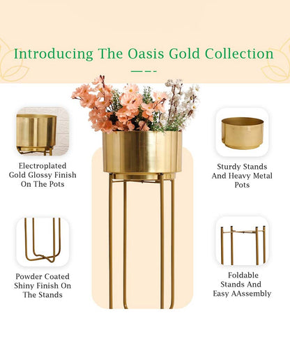 Oasis Gold Metal Planters with Stands | Set Of 2 | Plant not included