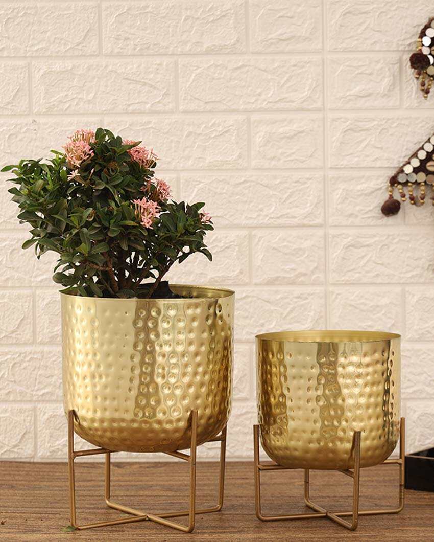 Olive Hammered Metal Planters | Set Of 2 | Plant not included