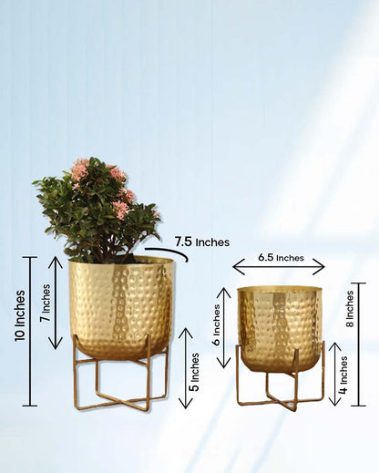 Olive Hammered Metal Planters | Set Of 2 | Plant not included