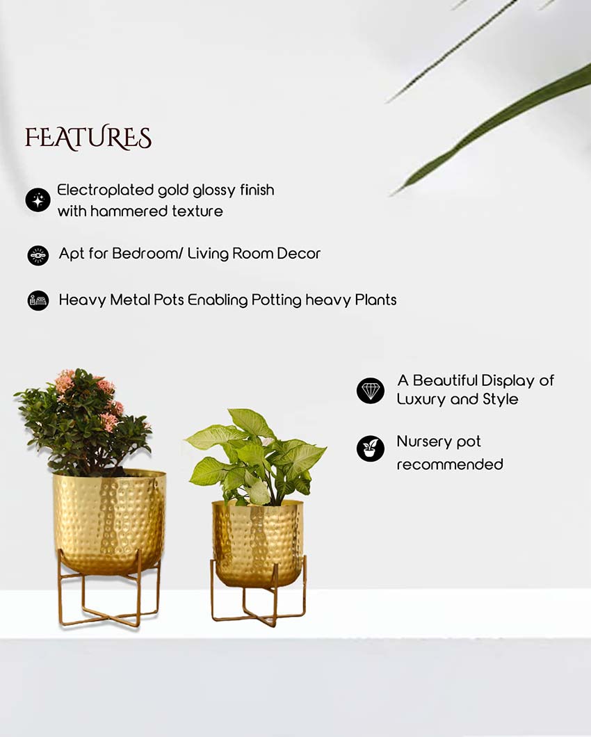 Olive Hammered Metal Planters | Set Of 2 | Plant not included