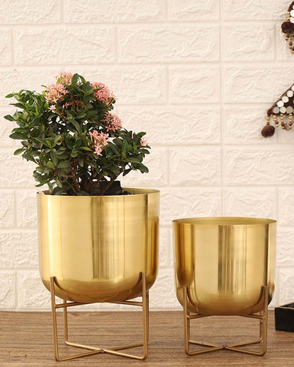 Olive Glossy Metal Planters with Stands | Set Of 2 | Plant not included