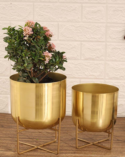 Olive Glossy Metal Planters with Stands | Set Of 2 | Plant not included