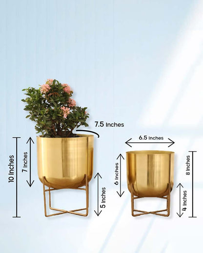 Olive Glossy Metal Planters with Stands | Set Of 2 | Plant not included