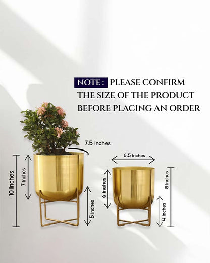 Olive Glossy Metal Planters with Stands | Set Of 2 | Plant not included