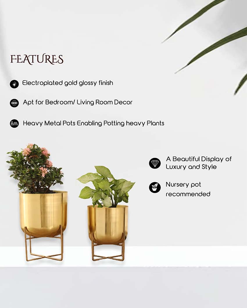 Olive Glossy Metal Planters with Stands | Set Of 2 | Plant not included