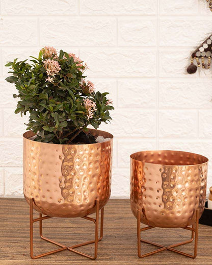 Olive Hammered Metal Planters | Set Of 2 | Plant not included